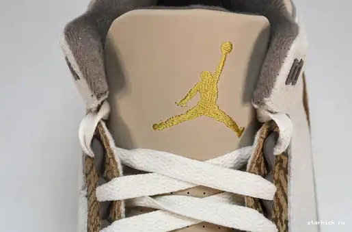 Palomino  CT8532-102  Retro Jordan 3 CT8532-102 0611